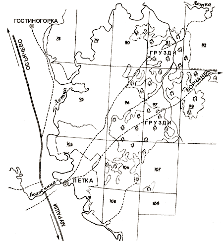 Карта: Груздовники недалеко от села Летка Прилузского района Коми, в бассейне р. Летка