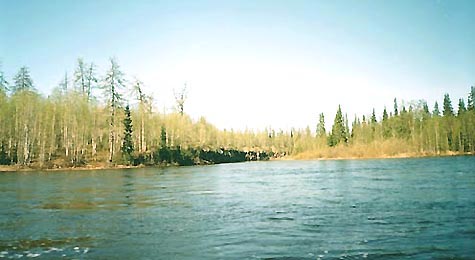 Река Косма, устье Виски (Усть-Цилемский район Коми)