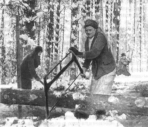 Лесозаготовки в Коми в 1920-е годы. Семейный подряд.