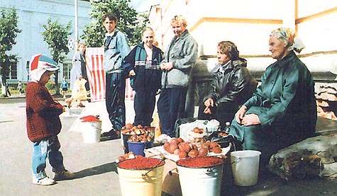 Урожайный год. Грибы-ягоды местных лесов. Сыктывкар 1980-е